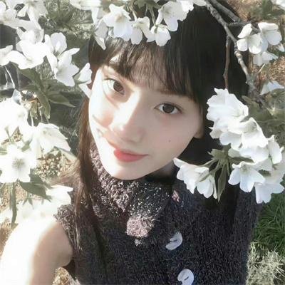 被怀疑:兔子和刺猬